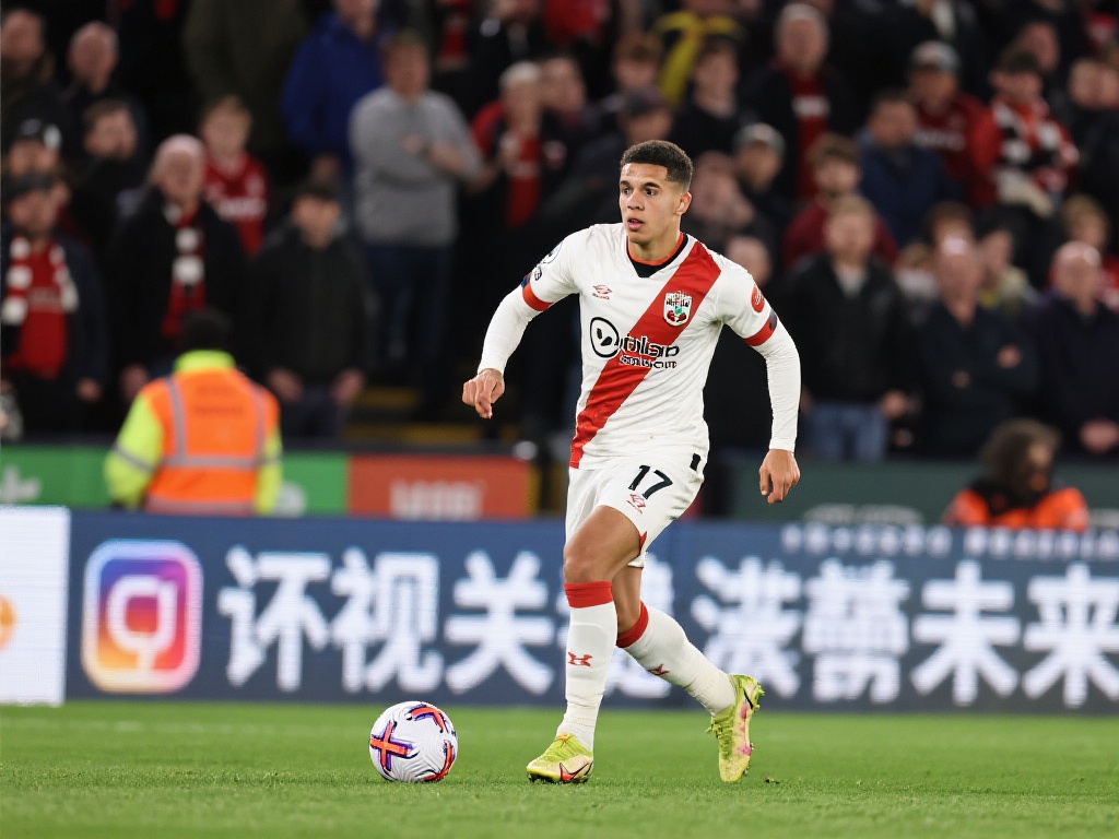 是足球的巅 是足球的巅